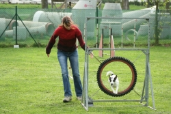 zavody-agility-2013-5, 100.78 kB